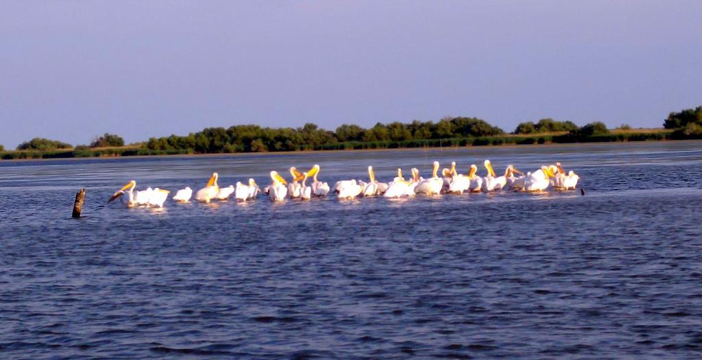 Delta Pontoon Hotel Махмудия Екстериор снимка