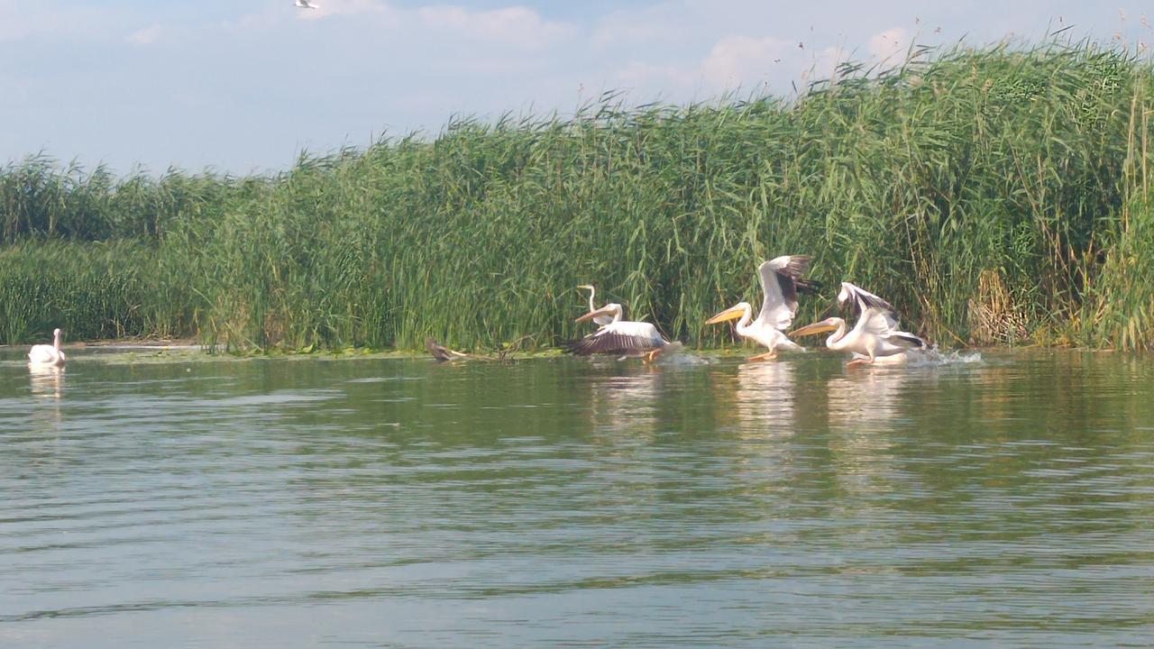 Delta Pontoon Hotel Махмудия Екстериор снимка